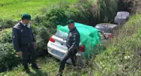 Gricignano d'Aversa (CE) - Auto rubate per "cavallo di ritorno" nascoste tra la vegetazione
