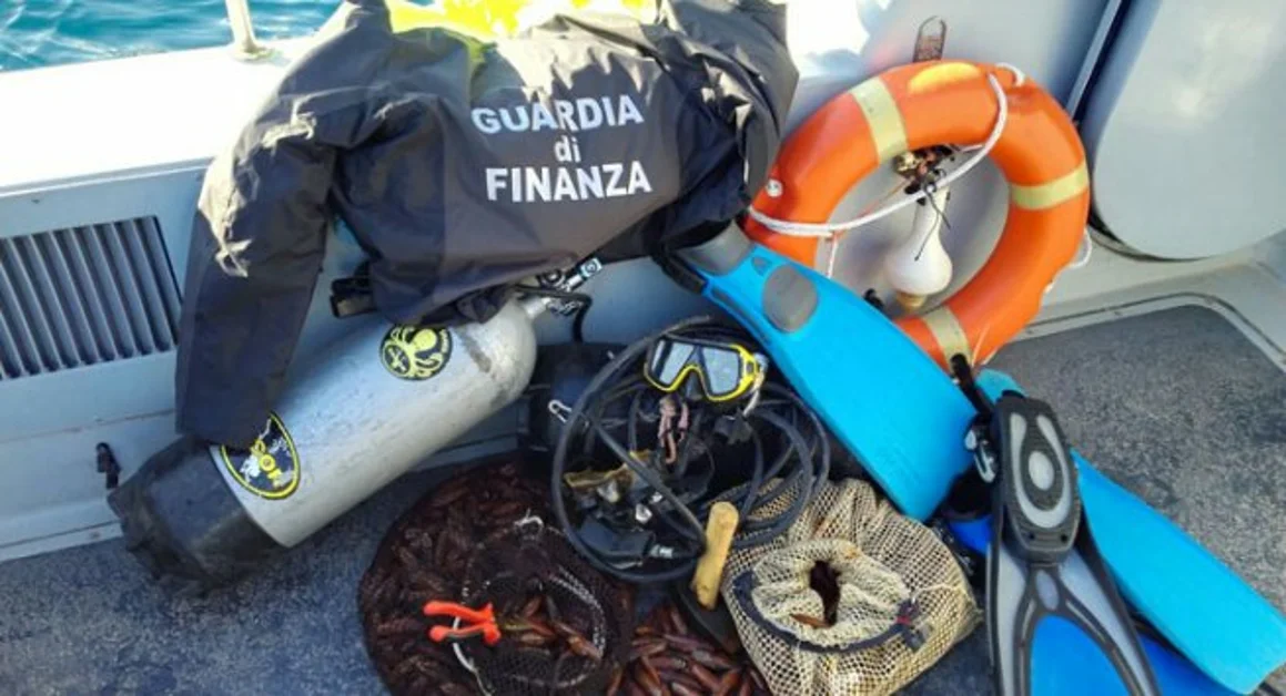 Sorrento - Pesca di datteri di mare, denunciati due subacquei