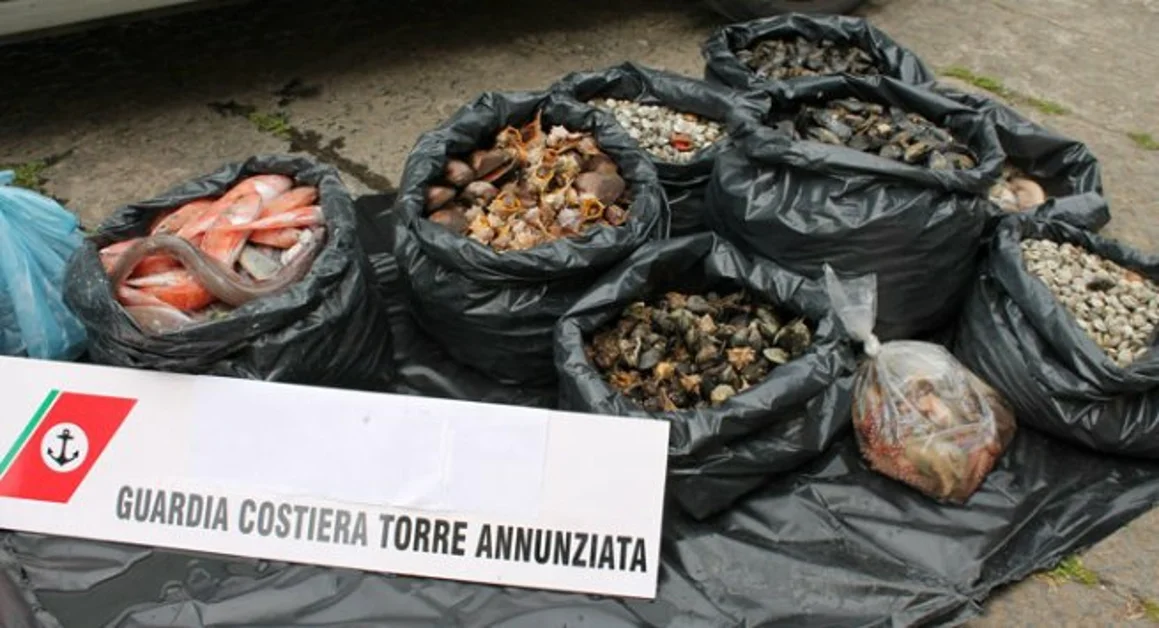 Torre Annunziata - Frutti di mare venduti in strada, sequestri per oltre un quintale. Ci sono anche le telecamere di Striscia