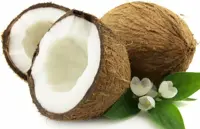 Il cocco: utile ai bambini, agli uccelli e...ai capelli