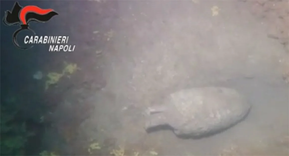 Napoli - Recuperata nel golfo una anfora del I secolo dopo Cristo