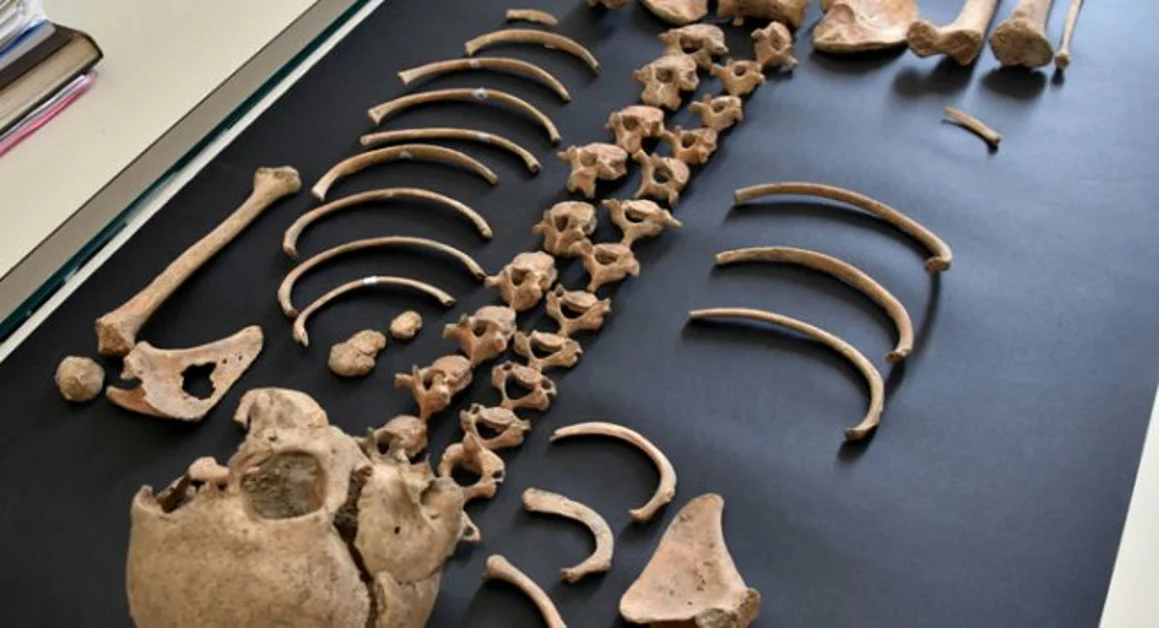 Pompei - L'indagine antropologica sullo scheletro del bambino rinvenuto alle Terme Centrali degli Scavi