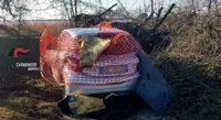 Caivano (NA) - Auto rubate nascoste tra la vegetazione, i carabinieri ne recuperano circa una settantina