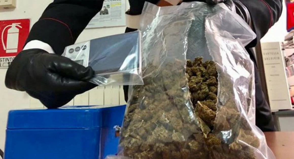 Sorrento - Quattrocento grammi di "erba" in casa, arrestato dai carabinieri
