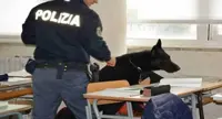 Avellino - Spaccio di droga a scuola, sequestro di marijuana e hashish
