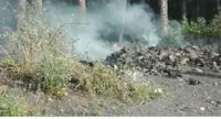 Torre del Greco/Trecase - Rifiuti dati alle fiamme nel Parco Nazionale del Vesuvio: scempio a Montagnelle