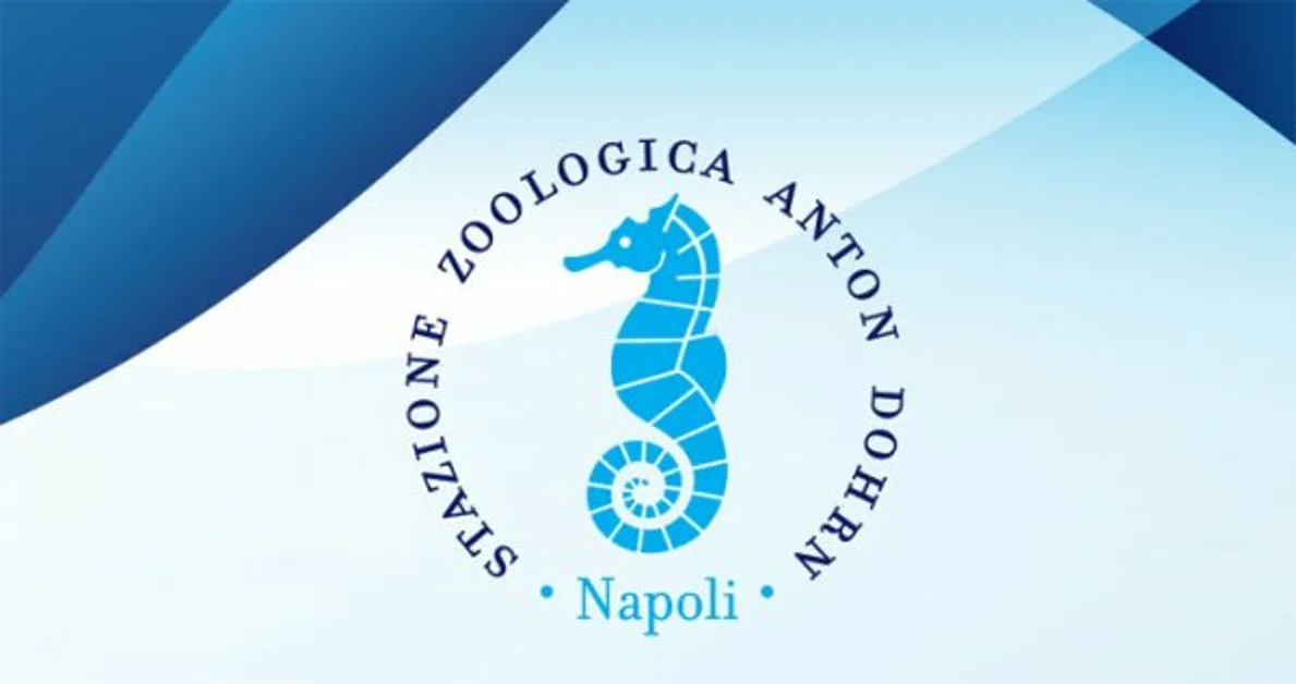 Portici - Porte aperte al Centro di Ricerca Tartarughe Marine della Stazione Zoologica "Dohrn"