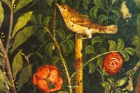 Boscoreale - La Rosa Antica di Pompei, il progetto di ricerca presentato a Villa Silvana