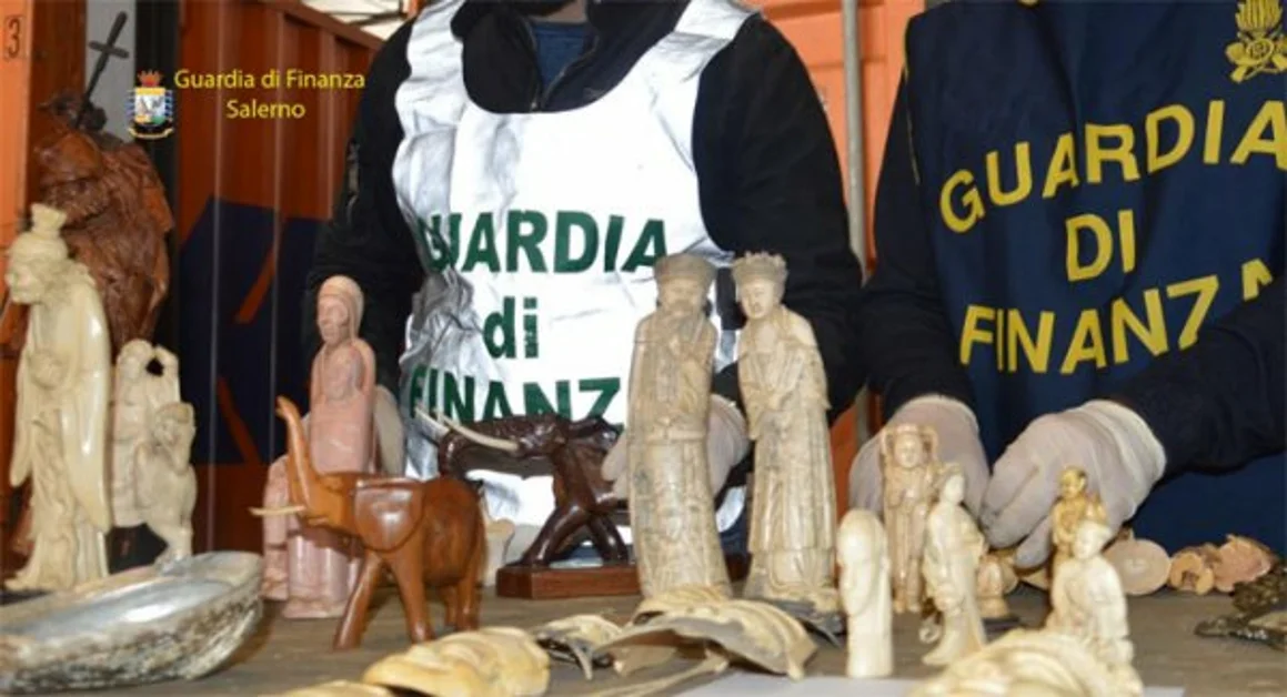 Salerno - Maxi sequestro di reperti archeologici e avorio provenienti dall'Africa, due italiani denunciati
