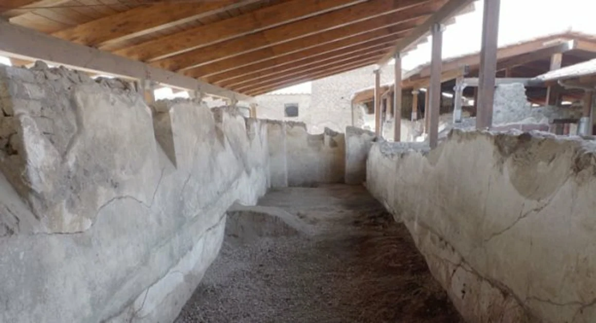 Castellammare - Villa Arianna di Stabiae, nuovo progetto di scavo e restauro