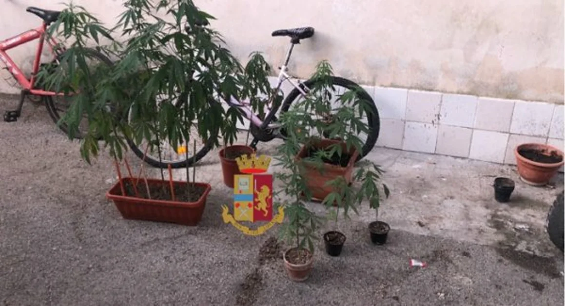Napoli - Marijuana in strada nel quartiere Pianura, sequestro della Polizia