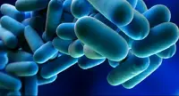 Allarme legionella in Lombardia, tre persone morte. L'assessore Gallera: «Attivata task-force»