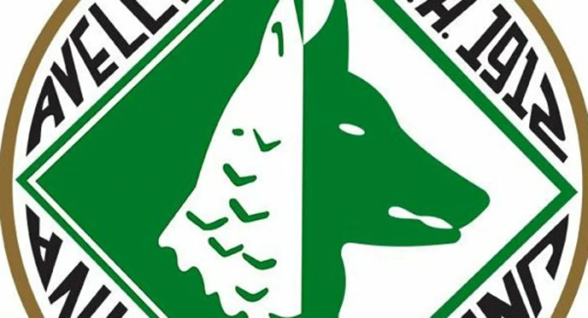 Calcio: per l'Avellino niente B. Il TAR respinge ricorso