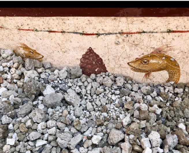 Pompei - Scavi al Regio V, spuntano nuovi interessanti reperti
