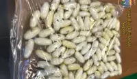 Oltre cento ovuli di cocaina nello stomaco, arrestato narcotrafficante a Capodichino