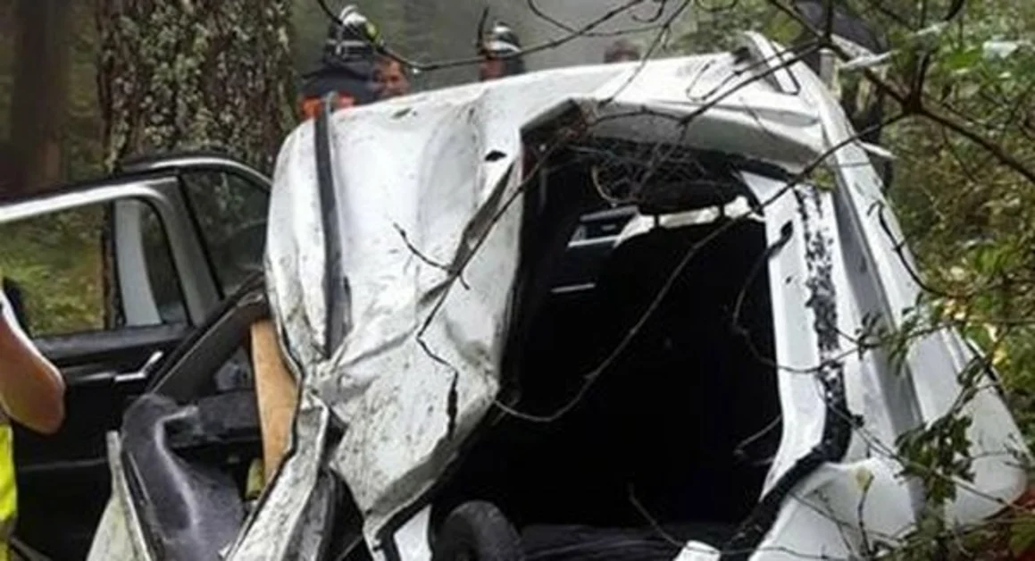 Auto precipita per 300 metri in una scarpata, salva la famiglia a bordo