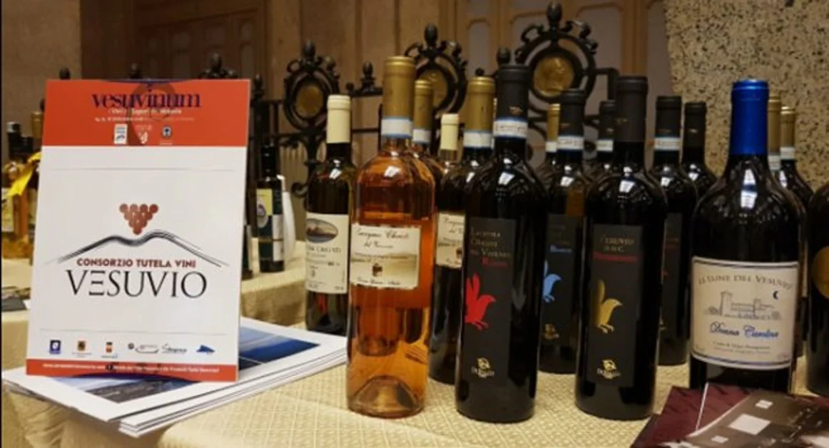 Ottaviano - I sapori e i vini del Vesuvio a "Vesuvinum"