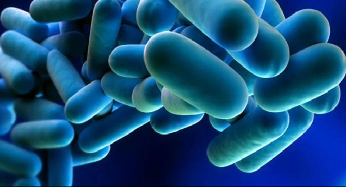 Anziano 82enne muore per una polmonite da legionella