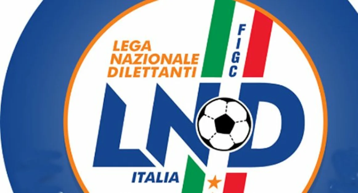 Serie D, prima di campionato: Picerno-Savoia domenica alle 15