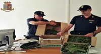 Avellino - Lite con la ex, la Polizia interviene e trova a casa 5 kg di marijuana
