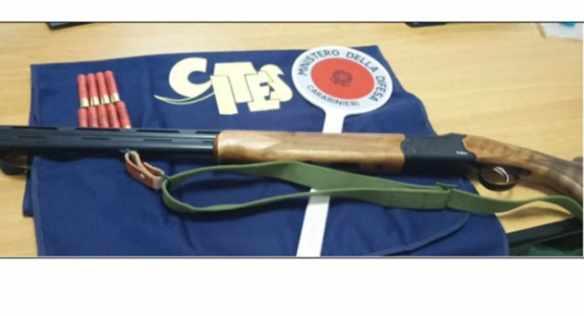 Cani con la coda mozzata, una denuncia a Somma Vesuviana. A Terzigno sequestrato richiamo per uccelli