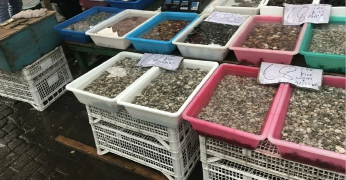 Torre Annunziata - Guardia Costiera sequestra 250 kg di prodotti ittici