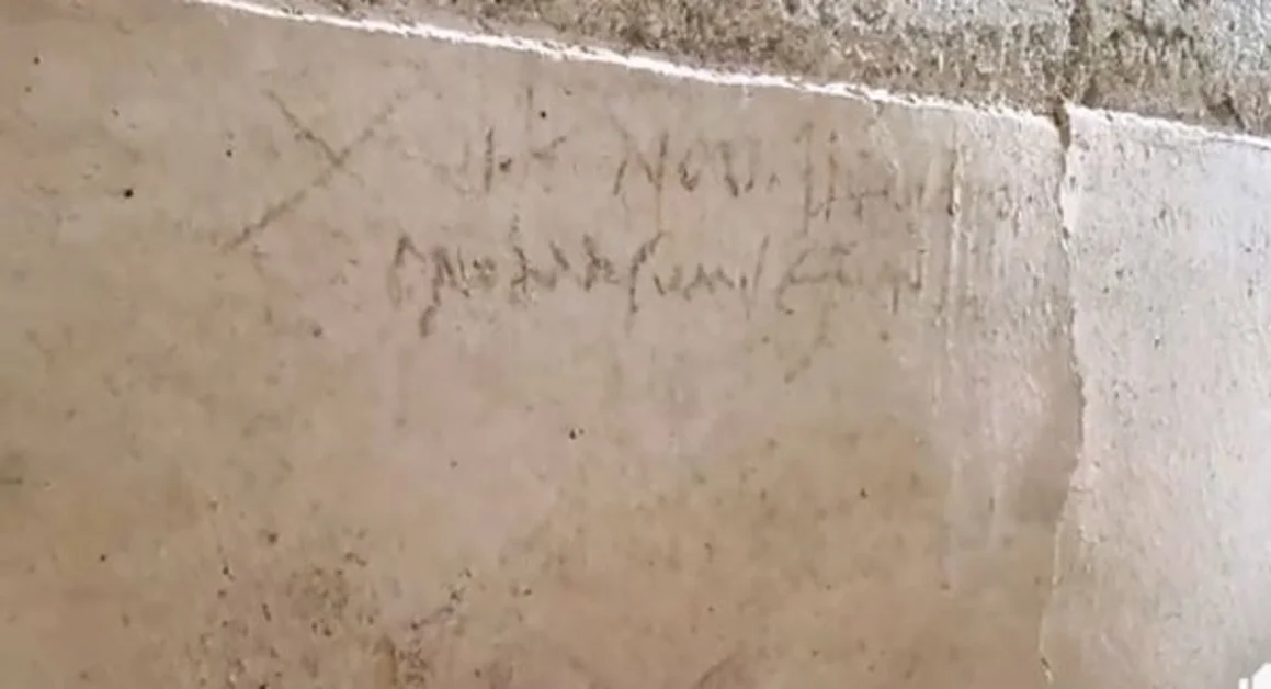 Pompei - Inedita traduzione del graffito che riscrive la storia della città antica: si cerca una cella olearia