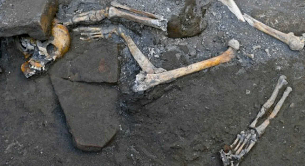 Pompei - Nuovi scheletri trovati sepolti dai lapilli nella città antica
