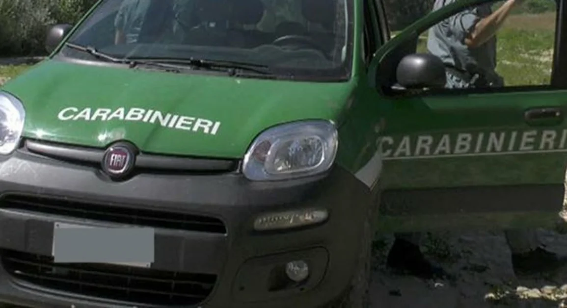 Torre del Greco - Migliaia di bevande in bottiglie di plastica al sole, denunciato titolare supermercato 