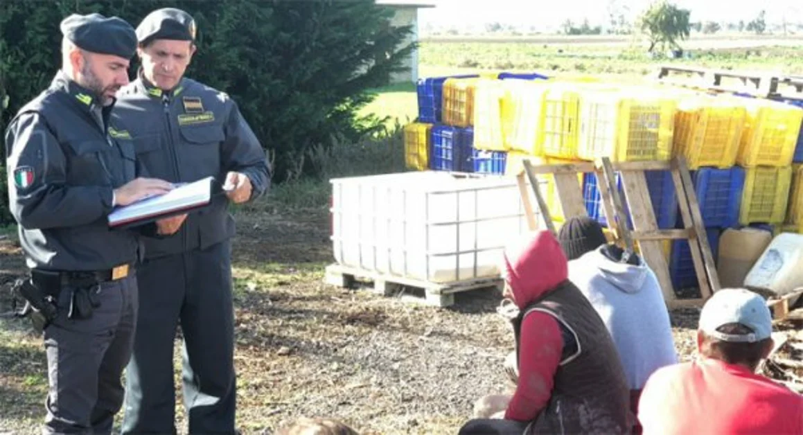 Mondragone (CE) - Caporalato, arrestato sfruttatore di braccianti agricoli