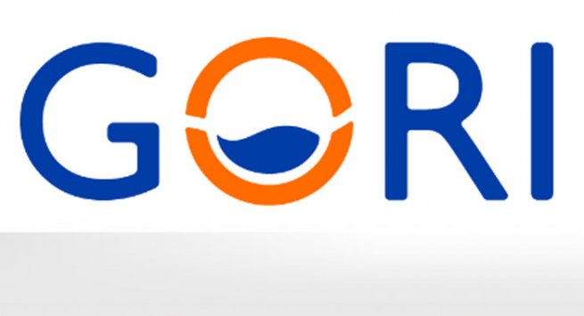 bolletta gori scarica
