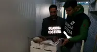 Due tonnellate di prodotti ittici sequestrati, sanzioni per 200mila euro a due pescherie di Scafati