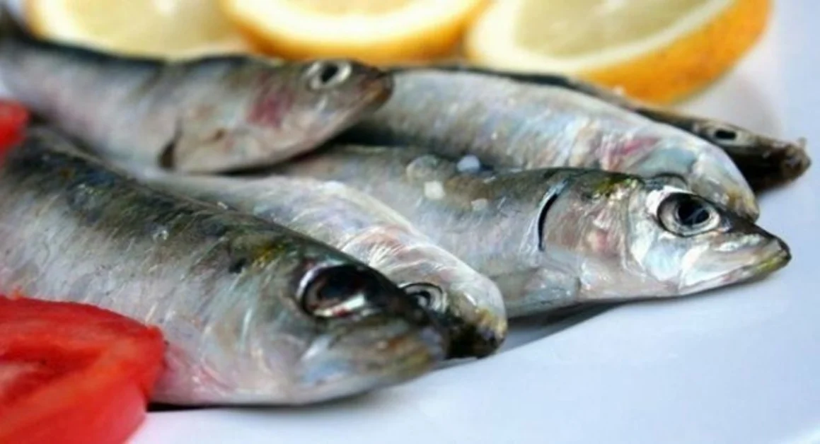 La Cassazione dà ragione ad un detenuto di Torre Annunziata: deve mangiare pesce due volte a settimana