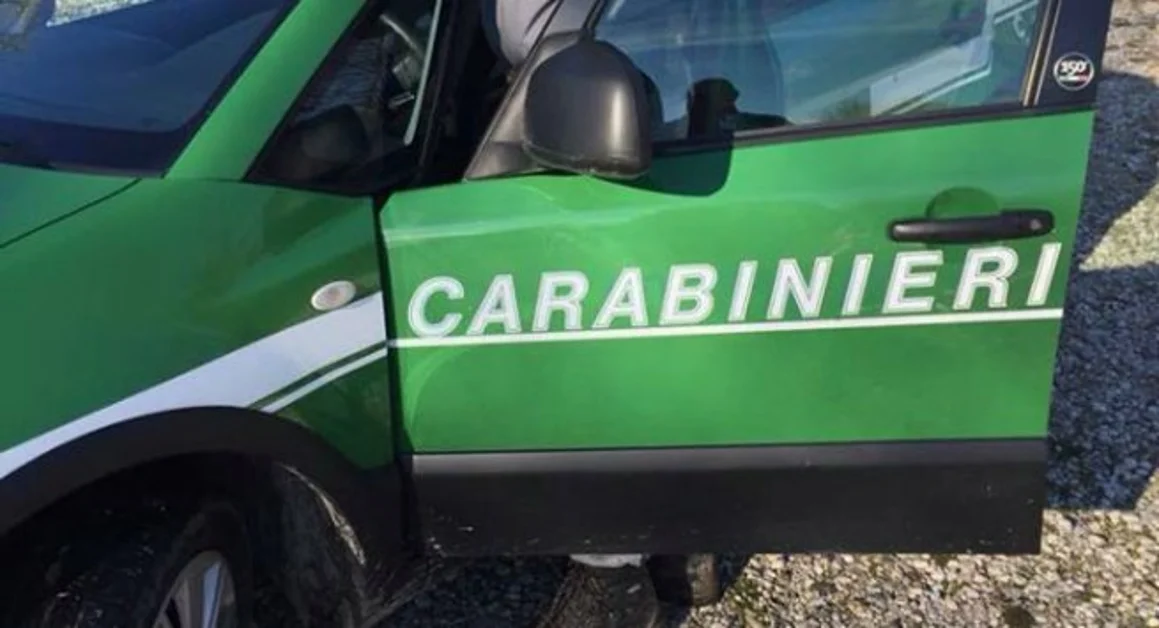 Casoria (NA) - Riciclaggio di pezzi d'auto rubate e smaltimento illecito dei rifiuti: tre misure cautelari