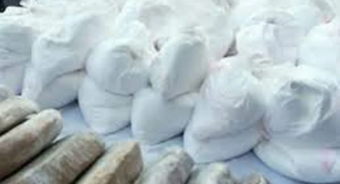 Sequestrati 700 chilogrammi di cocaina all'interno di un container