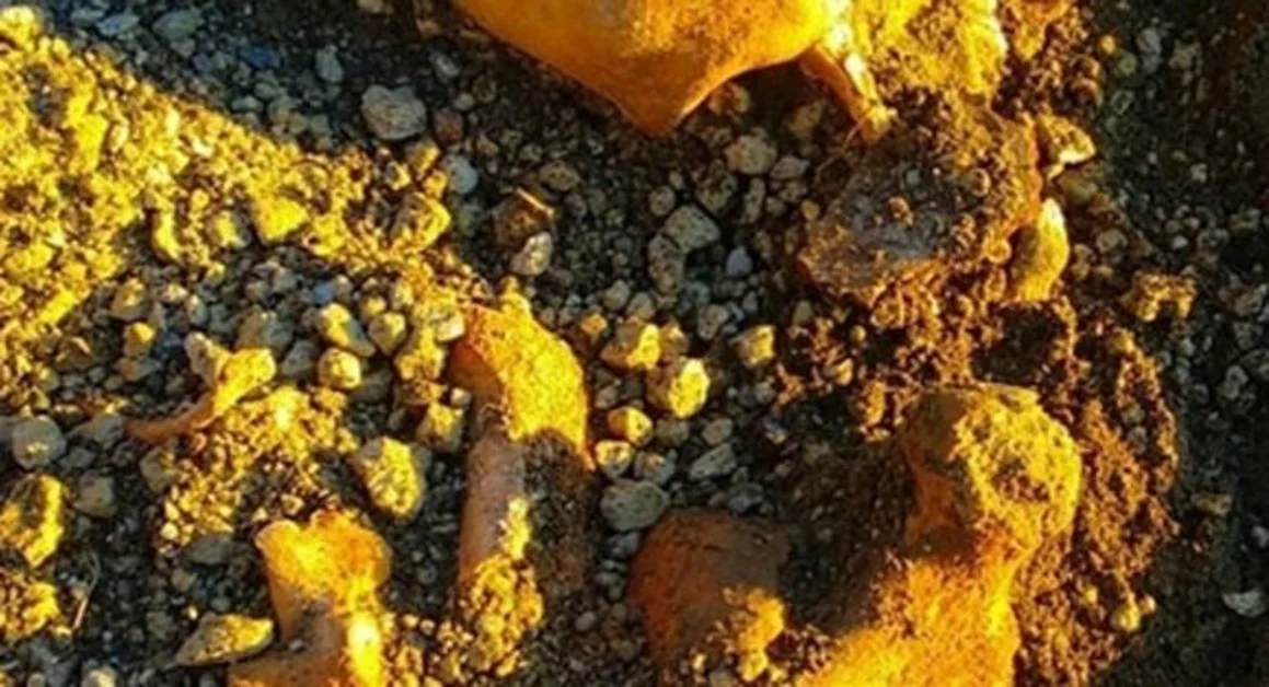 Pompei - Scavi, scoperto uno scheletro profanato dai tombaroli