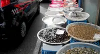 Torre del Greco - Carabinieri sequestrano 60 kg di prodotti ittici, quattro denunce