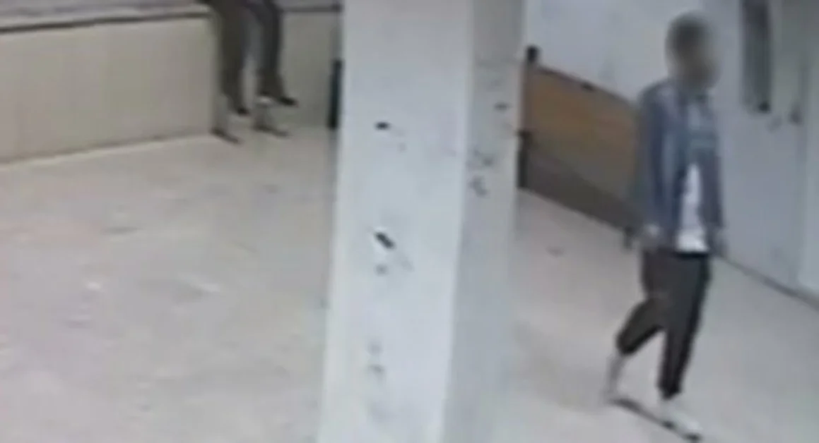 Ercolano - Strappa telefonino dalle mani di una donna, arrestato 30enne