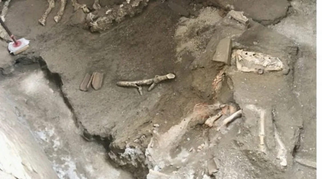 Pompei - Scavi, trovati resti di un cavallo di duemila anni fa