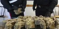 Ercolano - Trasportava otto kg di botti illegali, arrestato