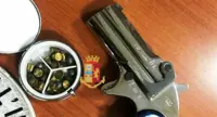 Napoli - Pistola nascosta nel vaso dei fiori, arrestato 69enne