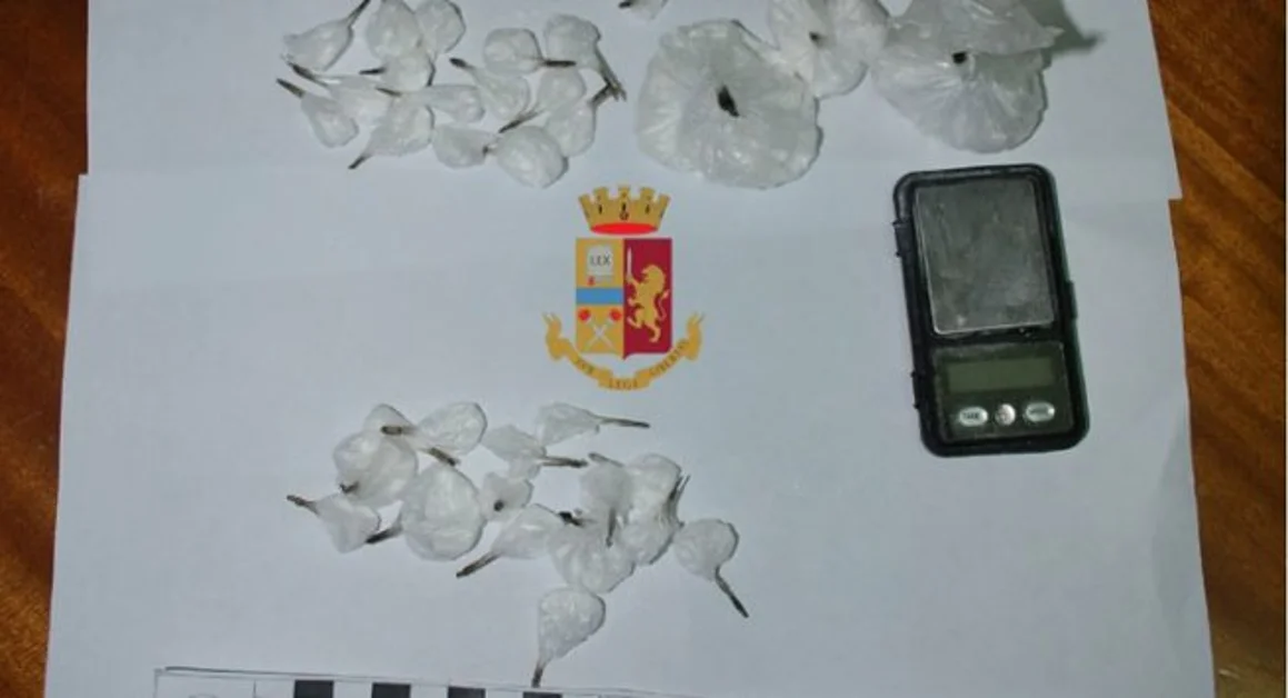 San Giuseppe Vesuviano - Arrestati due pregiudicati per detenzione di 36 grammi di cocaina