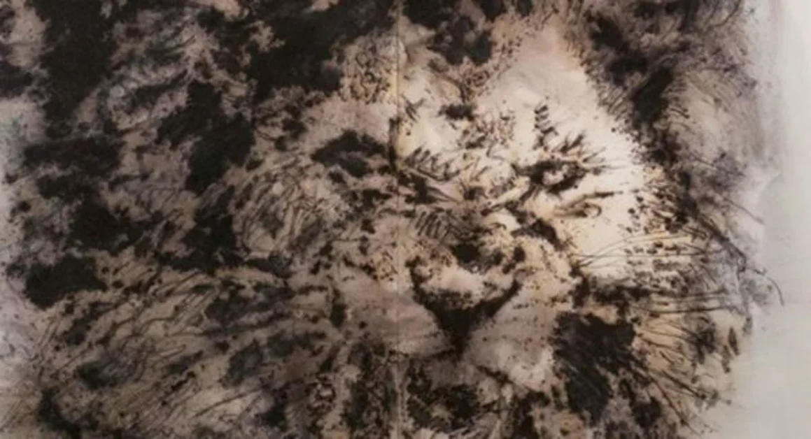 Pompei - Lo spettacolo "esplosivo" dell’artista cinese Cai Guo-Qiang nell’Anfiteatro degli Scavi