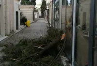 Torre Annunziata - Vento forte, cadono cornicioni e rami d'albero: chiuso il Cimitero