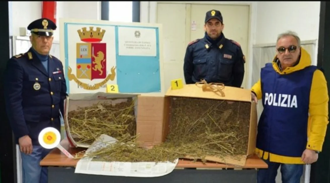 Torre Annunziata - Quattro chili di canapa, arrestato pregiudicato