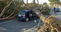 San Sebastiano al Vesuvio  - Albero si abbatte per il forte vento su autovettura, coinvolti madre e figlio