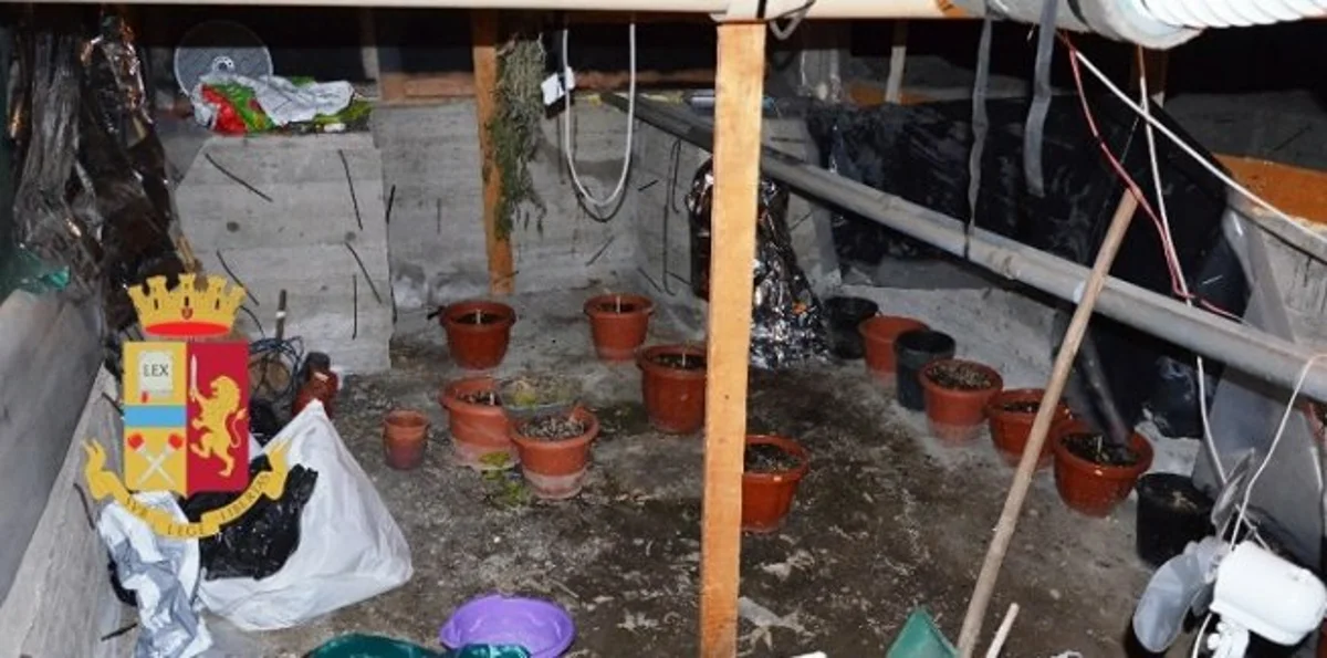 Torre Annunziata - Smantellato al Penniniello laboratorio per la produzione di canapa indiana