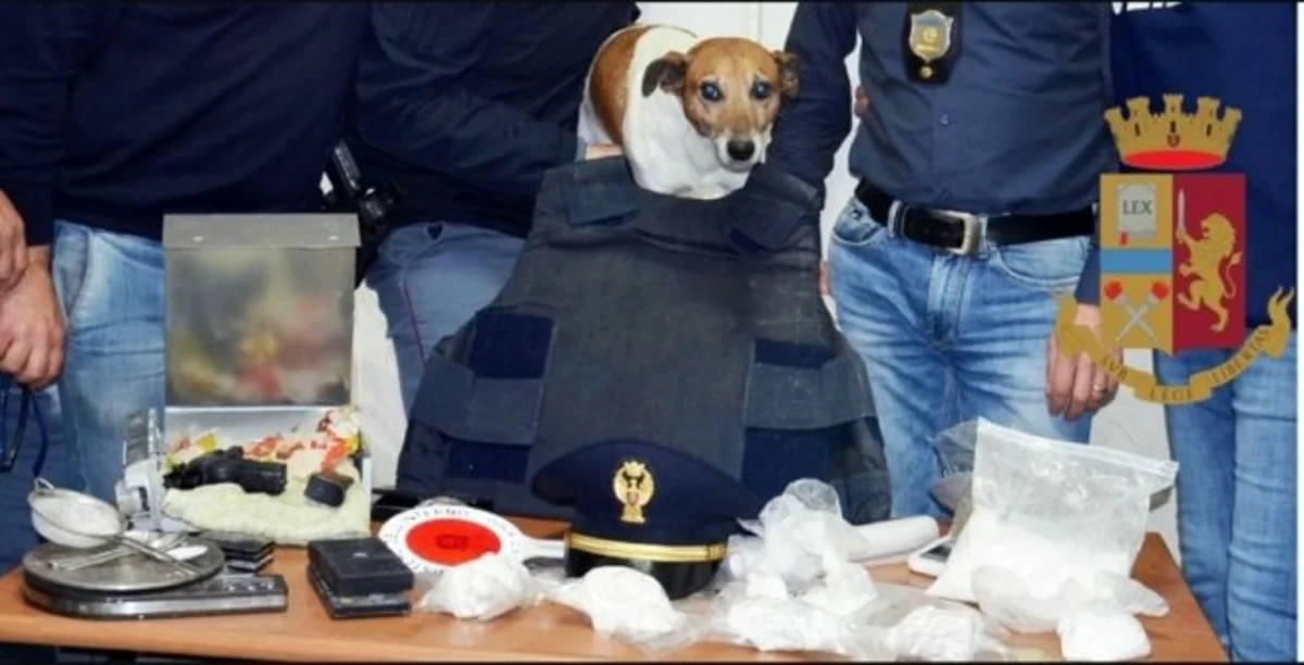 Torre Annunziata - Perquisizioni in zona "vicoli della marina", sequestrate pistola e droga