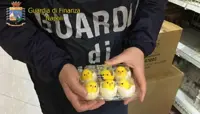 Nola - Doppia operazione della GdF: sequestrati 3 milioni di articoli pasquali e una fabbrica clandestina