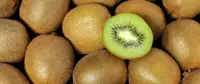 Il kiwi: acido folico naturale 